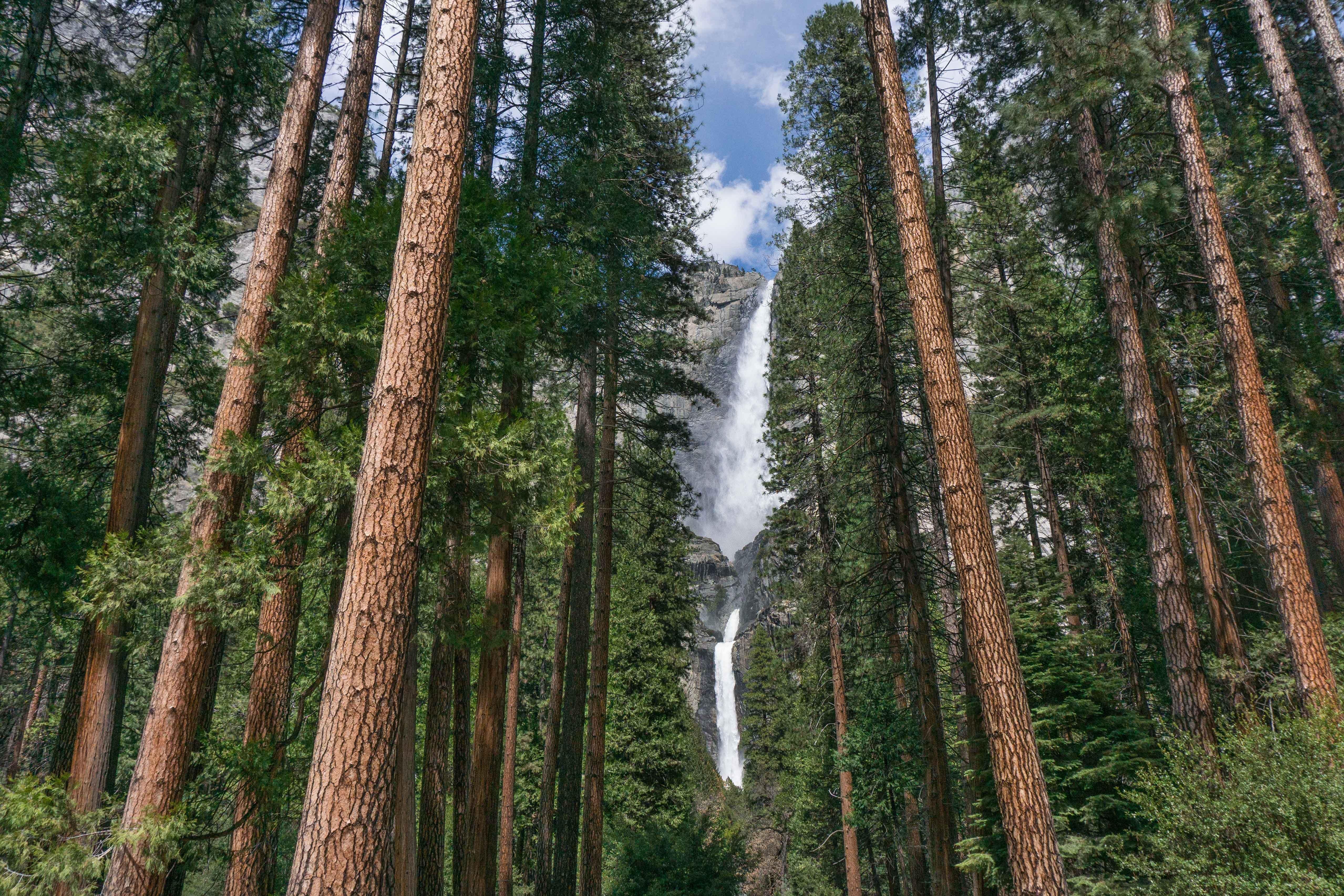 Holiday Inn Express & Suites Oakhurst-Yosemite Park Area By Ihg Exteriér fotografie