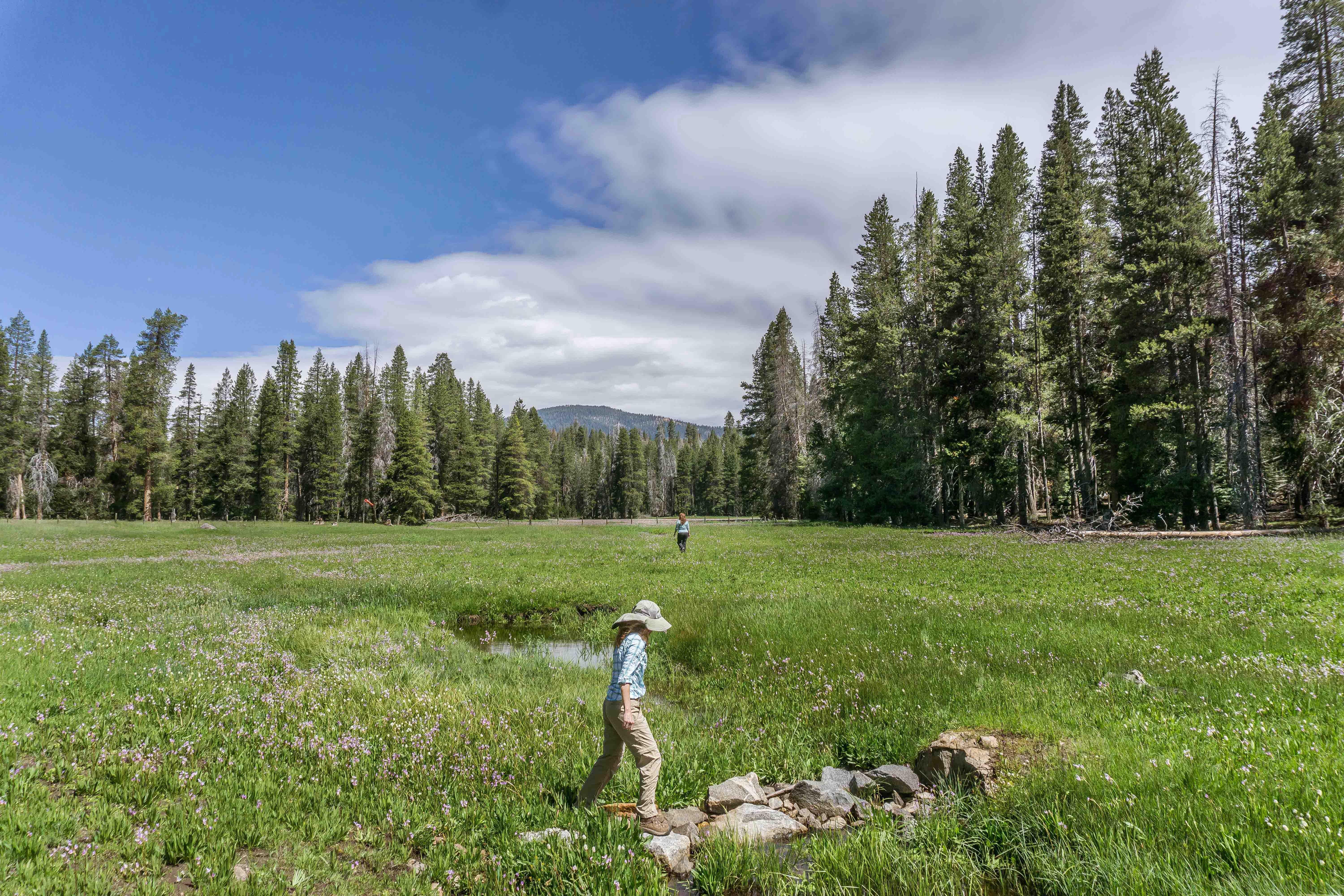 Holiday Inn Express & Suites Oakhurst-Yosemite Park Area By Ihg Exteriér fotografie